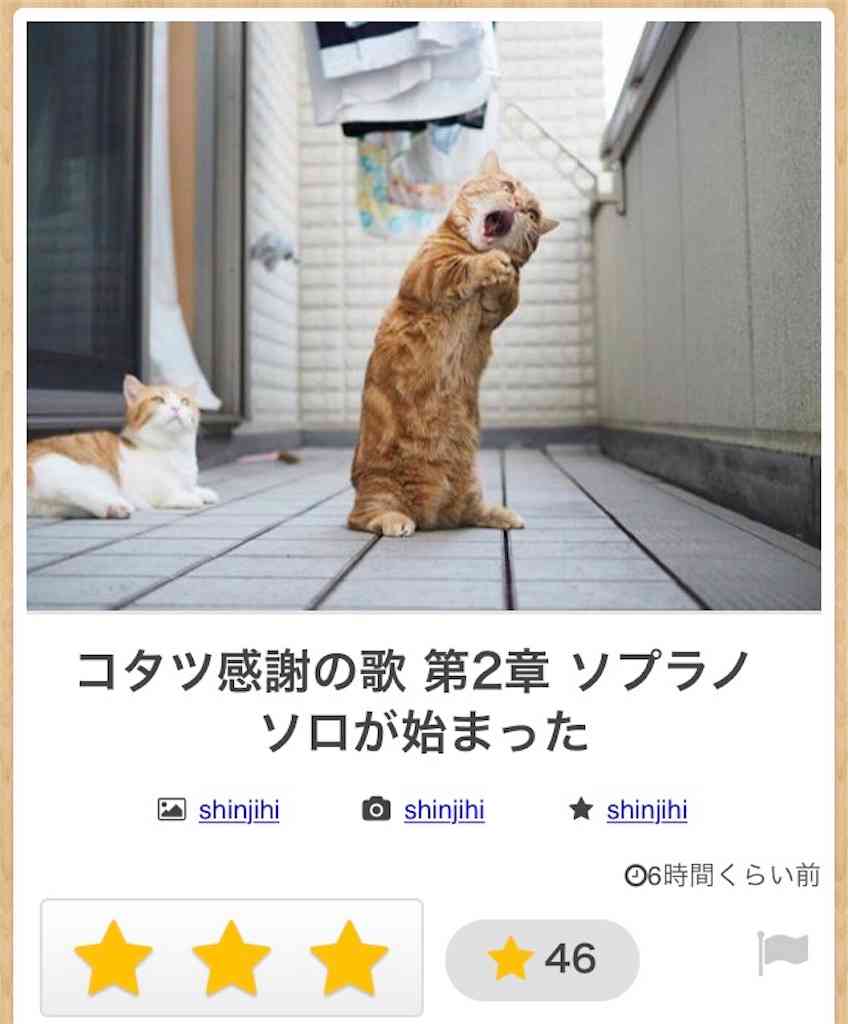 【bokete】ボケてで1000コメ以上目指そう!