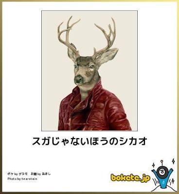 【bokete】ボケてで1000コメ以上目指そう!