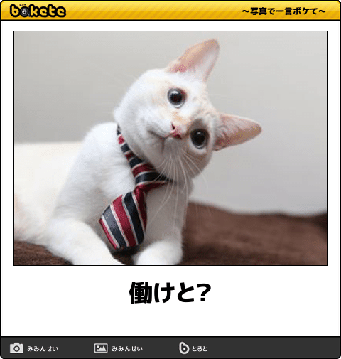 【bokete】ボケてで1000コメ以上目指そう!