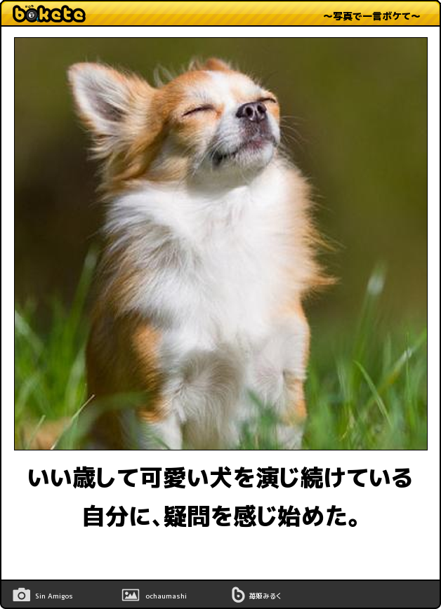 【bokete】ボケてで1000コメ以上目指そう!