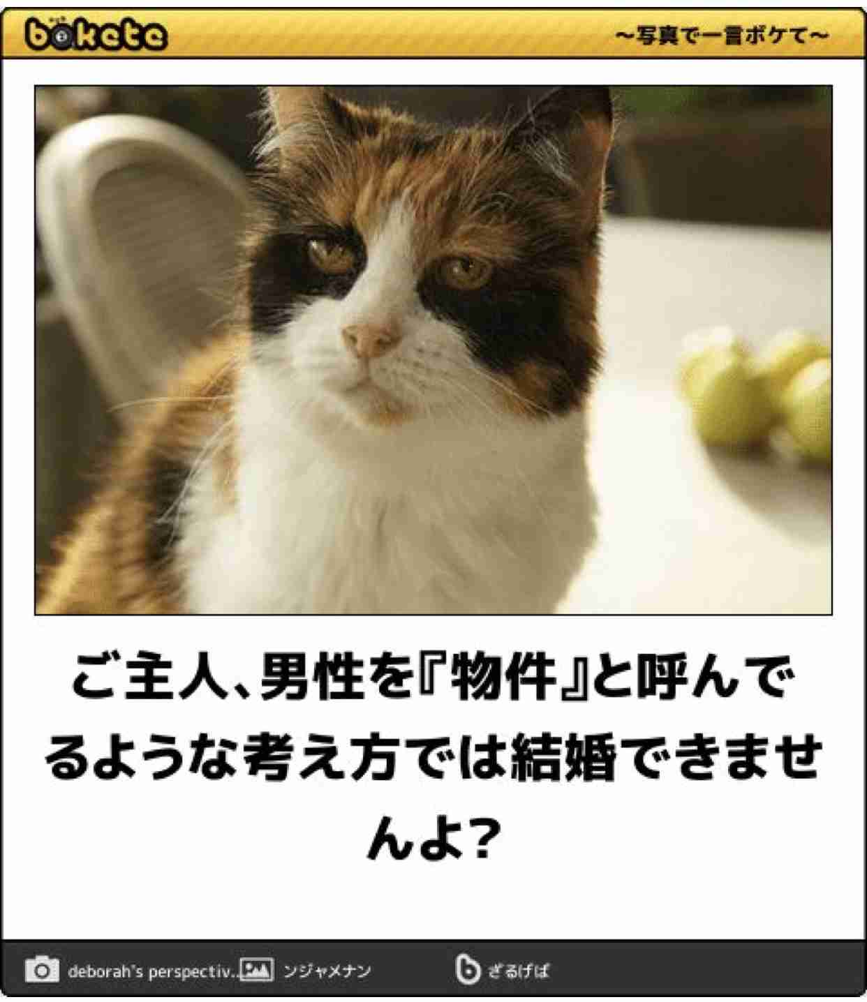 【bokete】ボケてで1000コメ以上目指そう!