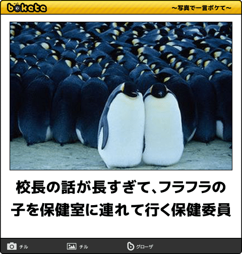 【bokete】ボケてで1000コメ以上目指そう!