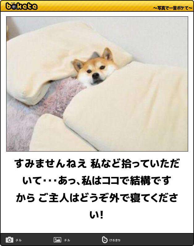 【bokete】ボケてで1000コメ以上目指そう!