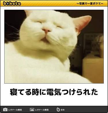 【bokete】ボケてで1000コメ以上目指そう!