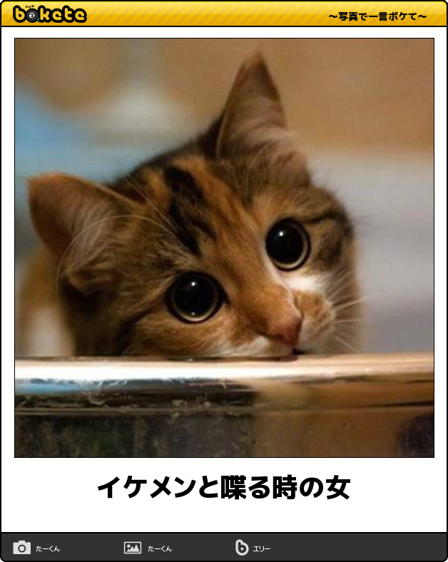 【bokete】ボケてで1000コメ以上目指そう!