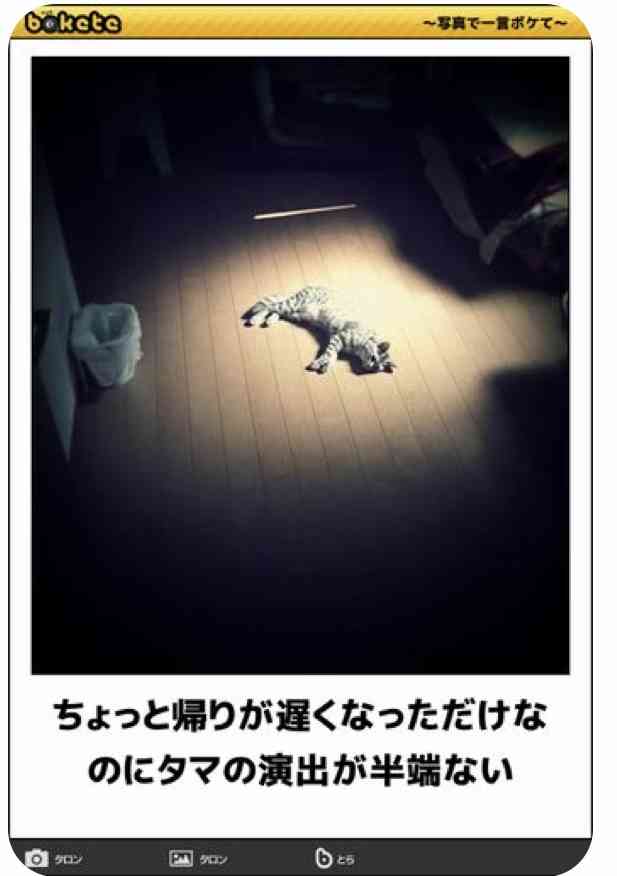 【bokete】ボケてで1000コメ以上目指そう!