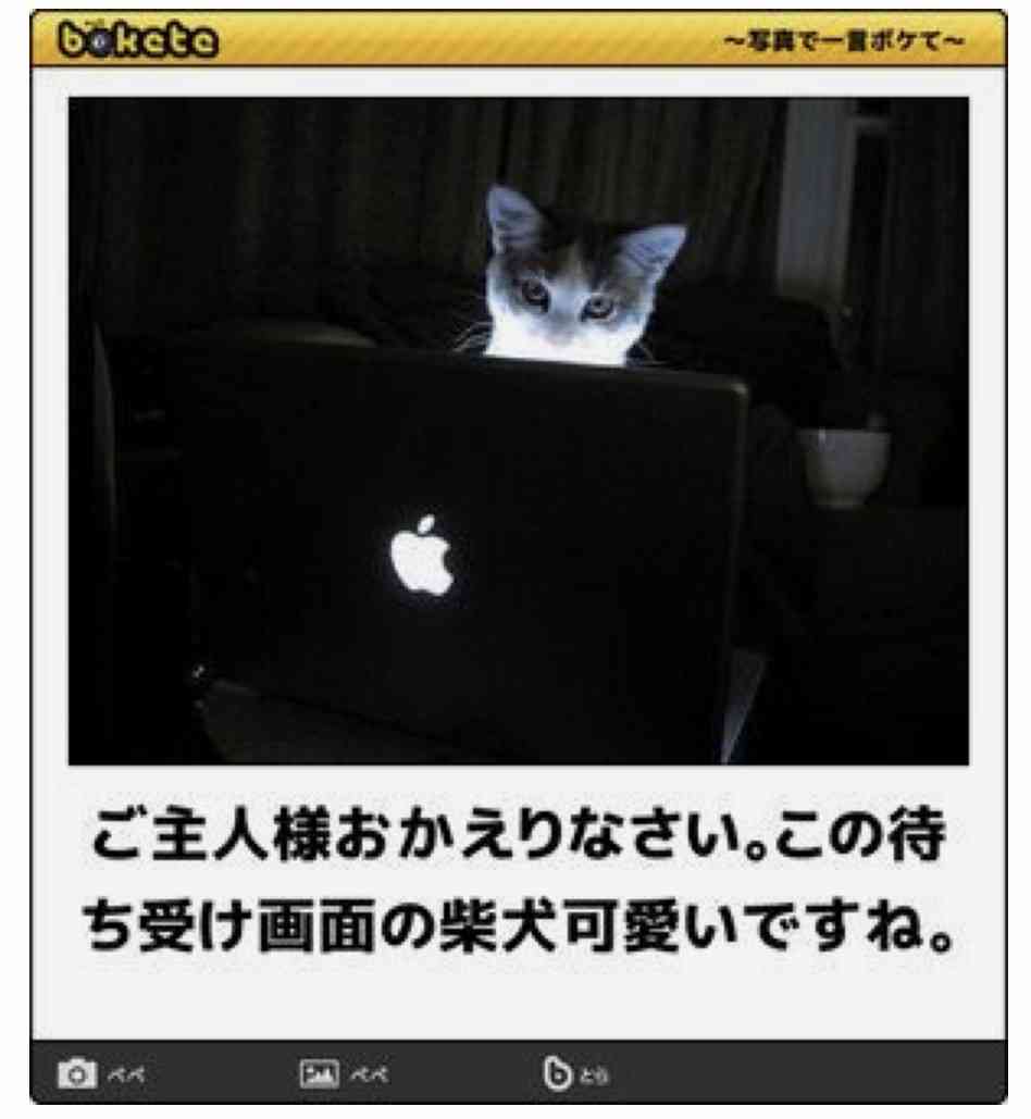 【bokete】ボケてで1000コメ以上目指そう!