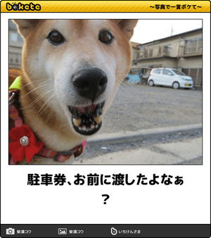 【bokete】ボケてで1000コメ以上目指そう!
