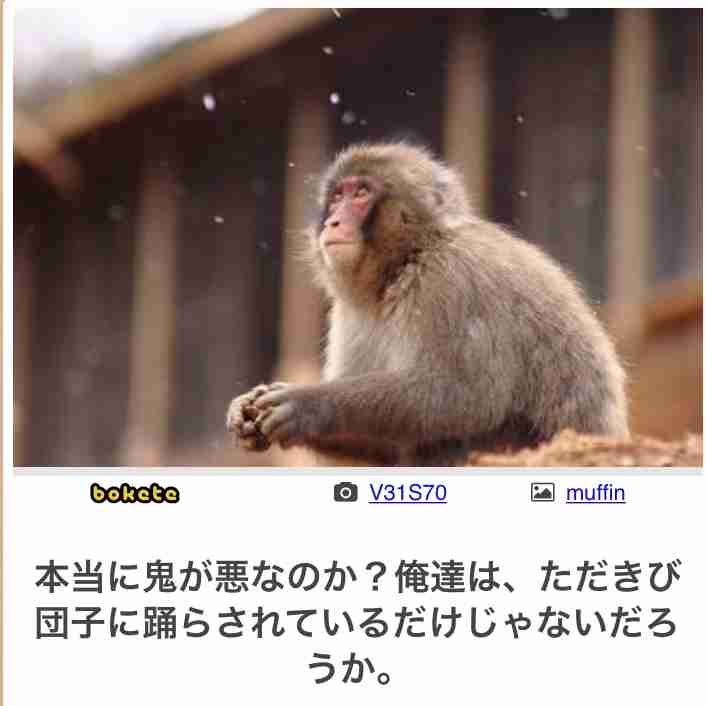 【bokete】ボケてで1000コメ以上目指そう!
