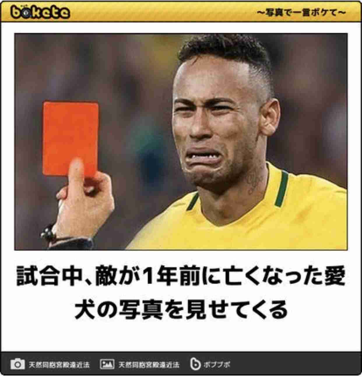 【bokete】ボケてで1000コメ以上目指そう!