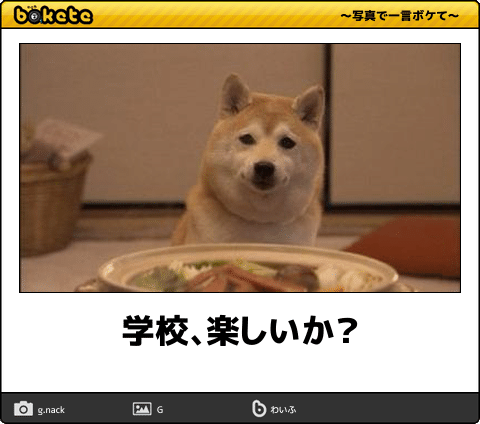 【bokete】ボケてで1000コメ以上目指そう!