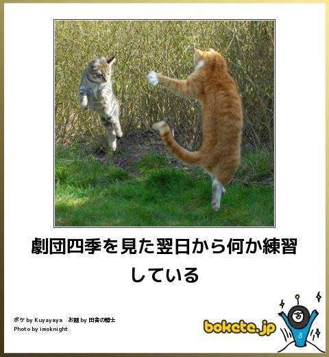 【bokete】ボケてで1000コメ以上目指そう!