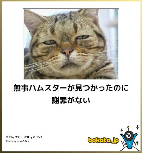 【bokete】ボケてで1000コメ以上目指そう!