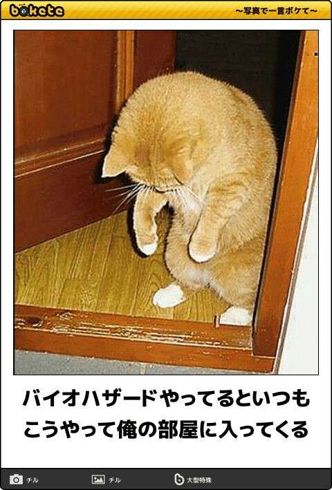 【bokete】ボケてで1000コメ以上目指そう!