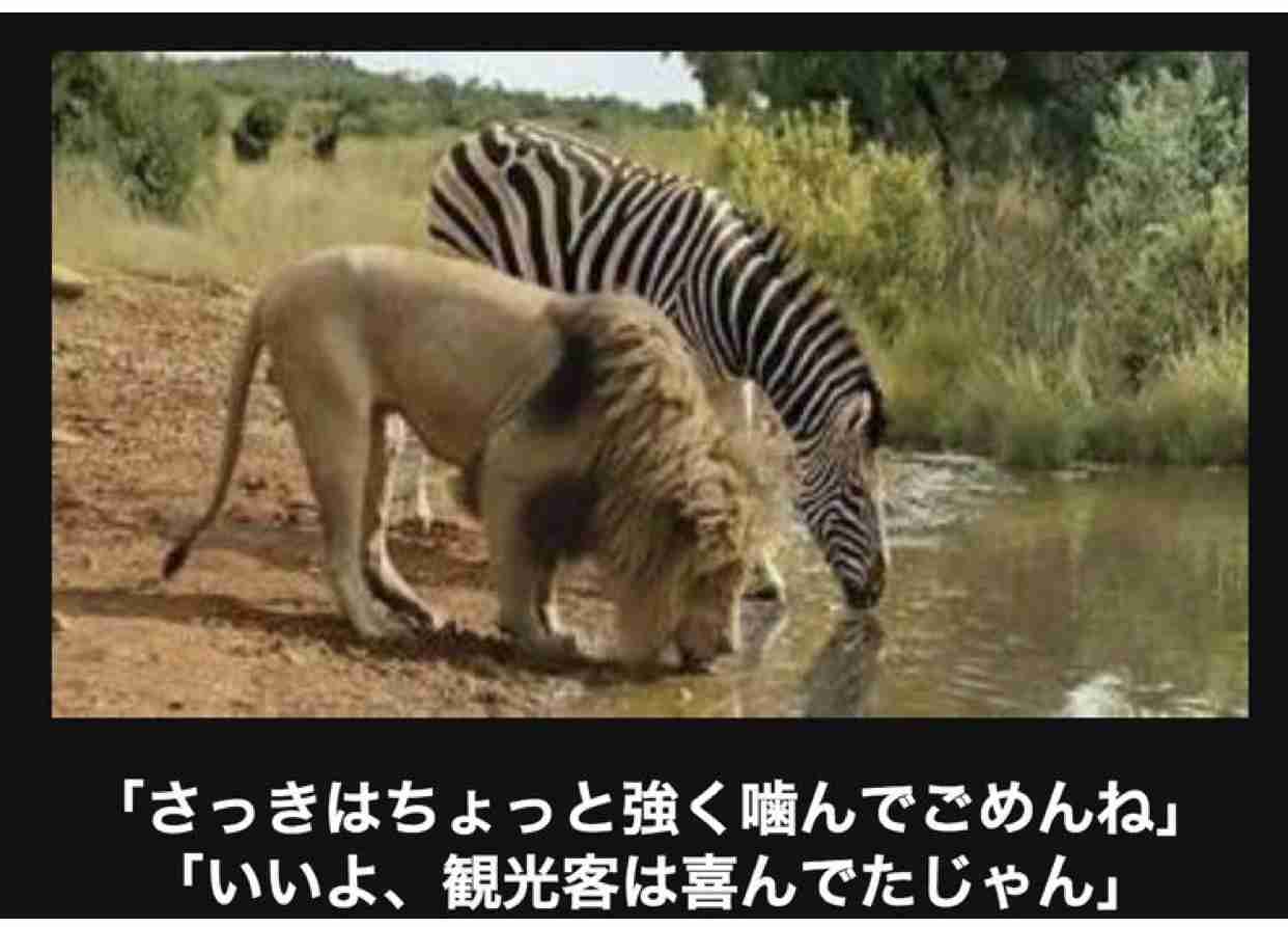 【bokete】ボケてで1000コメ以上目指そう!
