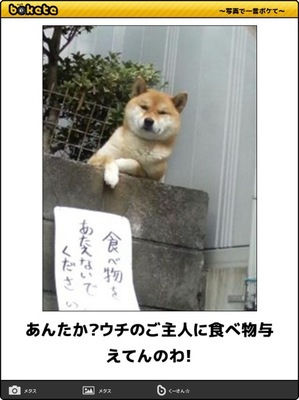 【bokete】ボケてで1000コメ以上目指そう!