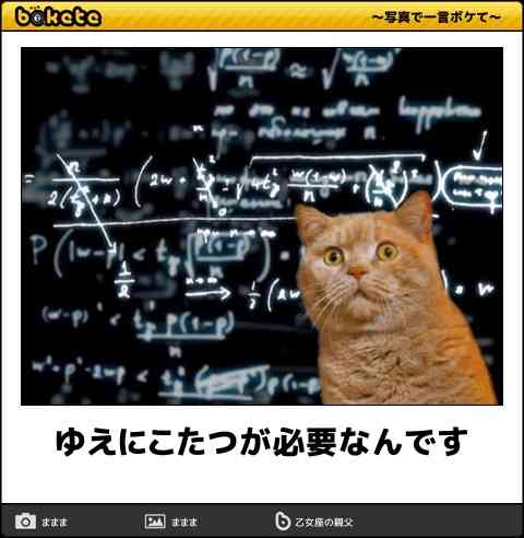 【bokete】ボケてで1000コメ以上目指そう!