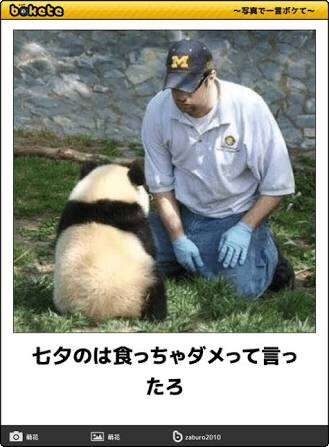【bokete】ボケてで1000コメ以上目指そう!