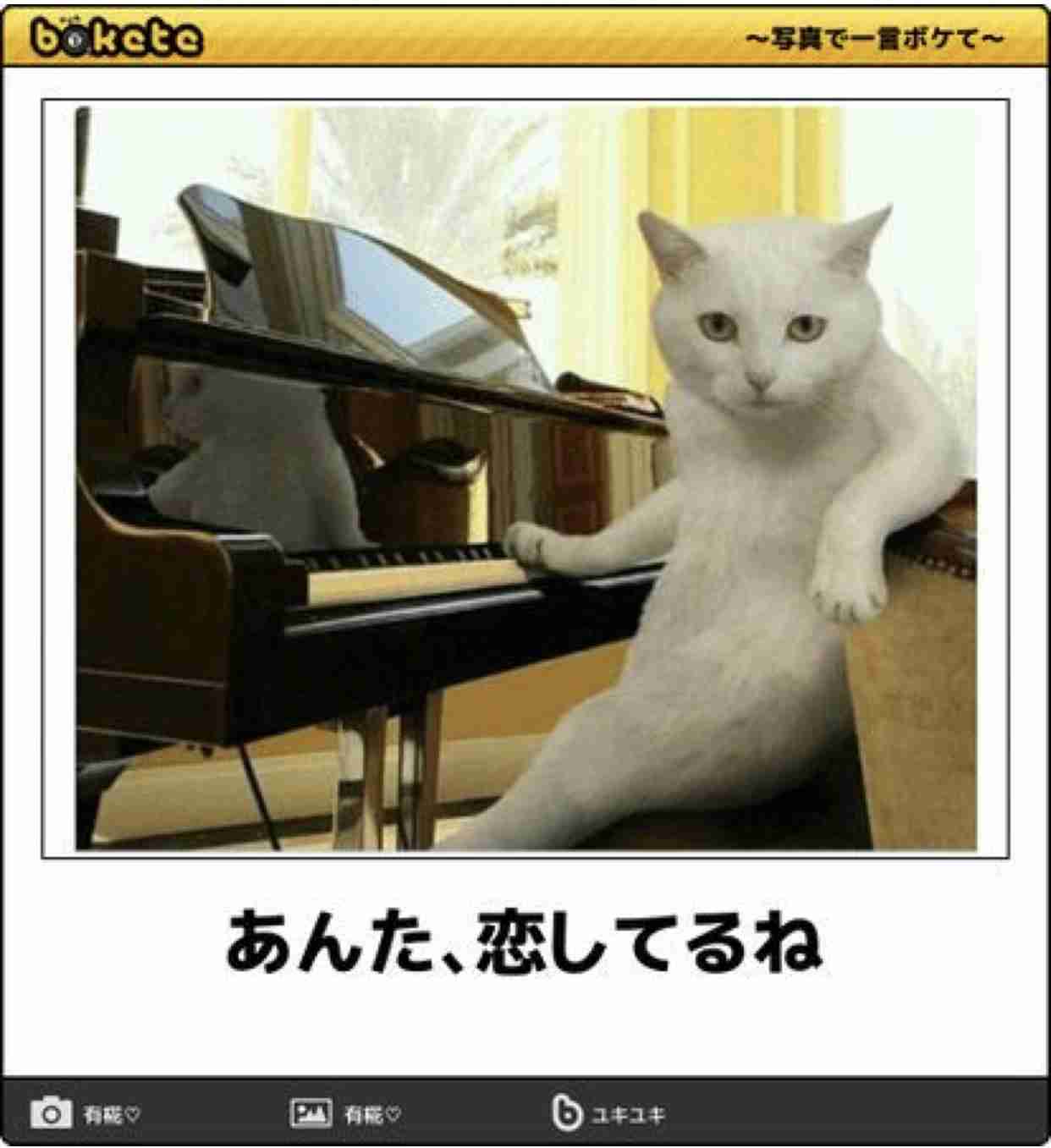 【bokete】ボケてで1000コメ以上目指そう!