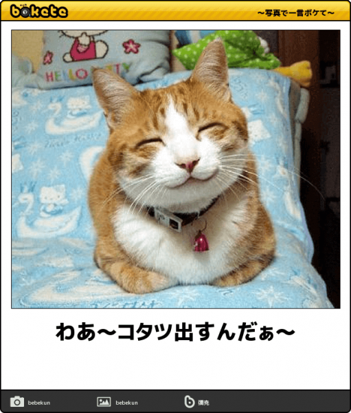 【bokete】ボケてで1000コメ以上目指そう!