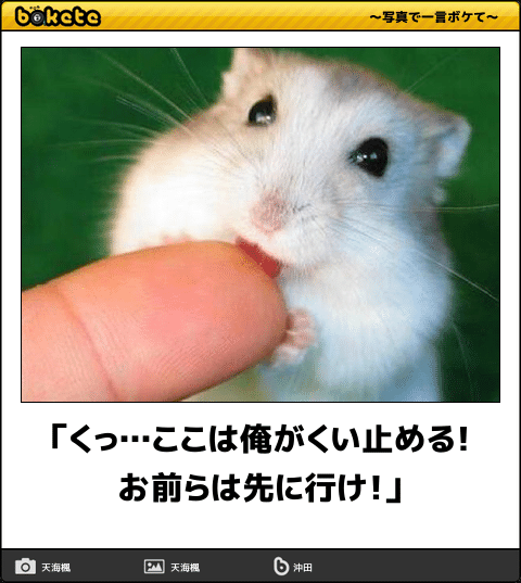 【bokete】ボケてで1000コメ以上目指そう!