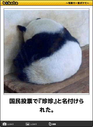 【bokete】ボケてで1000コメ以上目指そう!