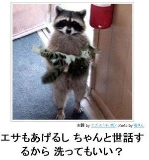 【bokete】ボケてで1000コメ以上目指そう!