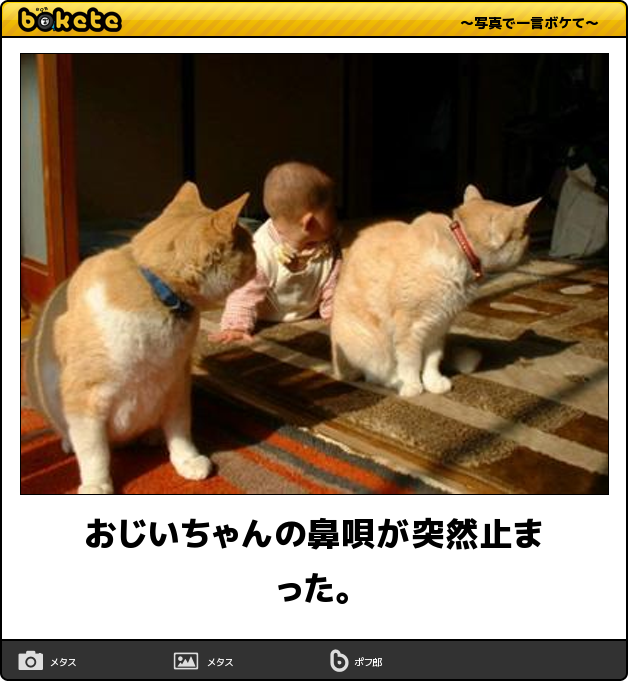 【bokete】ボケてで1000コメ以上目指そう!
