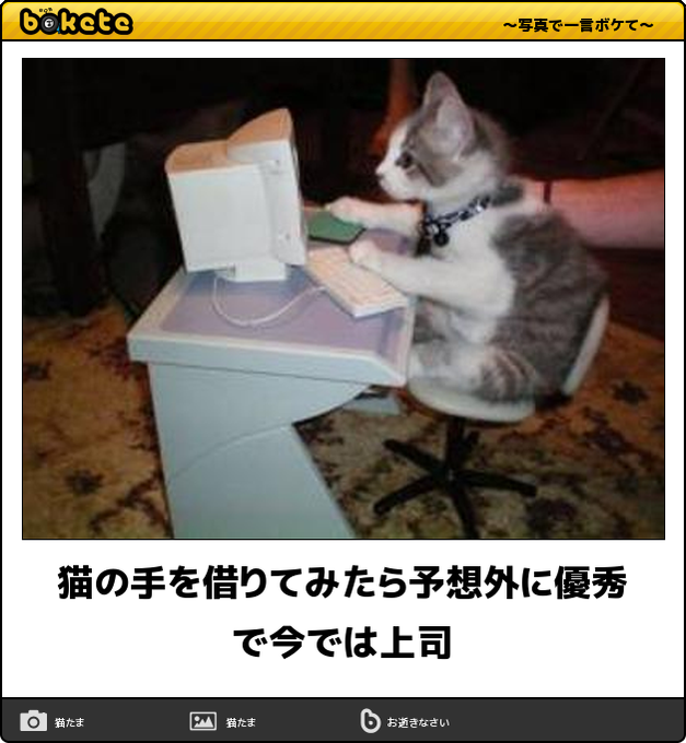 【bokete】ボケてで1000コメ以上目指そう!