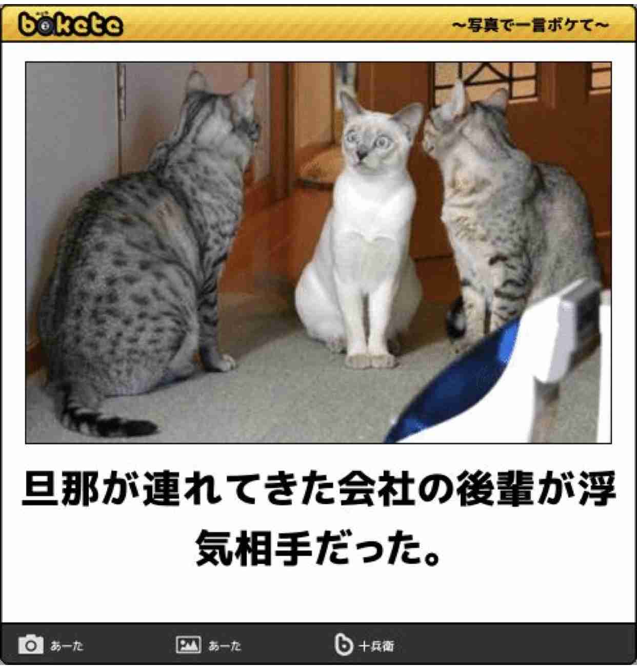 【bokete】ボケてで1000コメ以上目指そう!