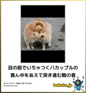【bokete】ボケてで1000コメ以上目指そう!
