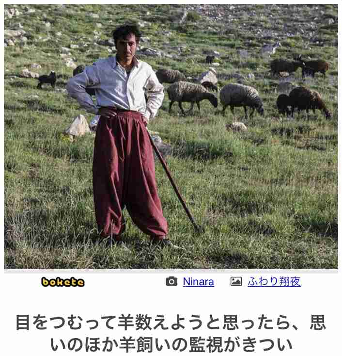 【bokete】ボケてで1000コメ以上目指そう!