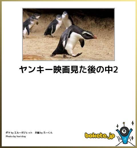 【bokete】ボケてで1000コメ以上目指そう!