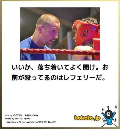 【bokete】ボケてで1000コメ以上目指そう!