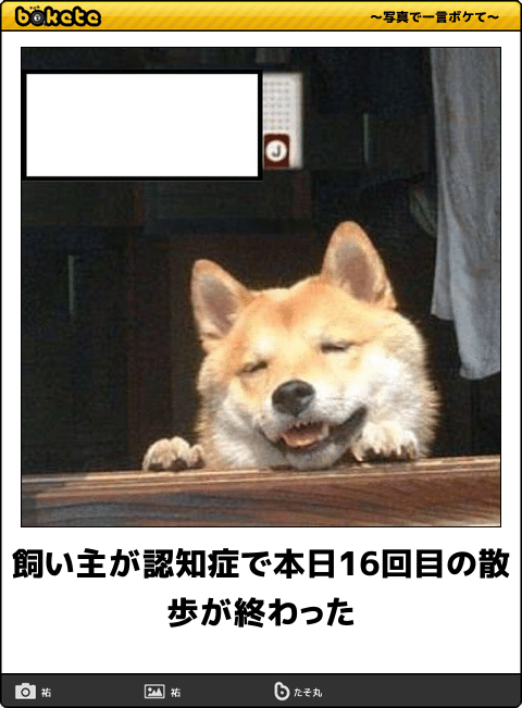 【bokete】ボケてで1000コメ以上目指そう!