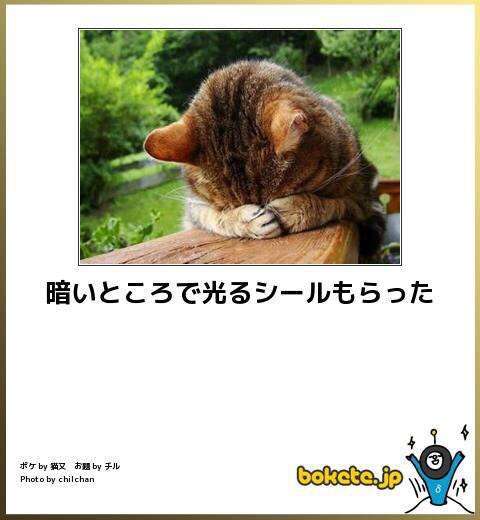 【bokete】ボケてで1000コメ以上目指そう!