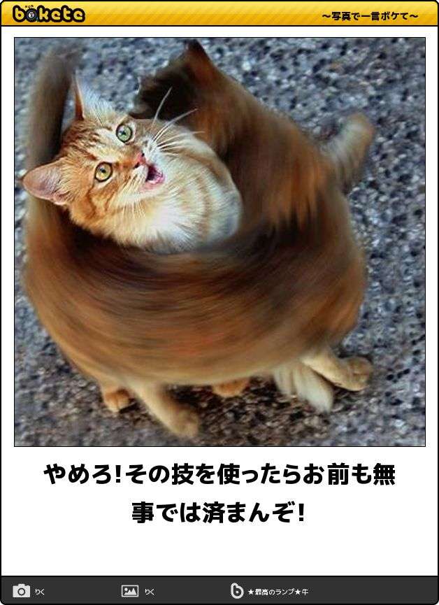 【bokete】ボケてで1000コメ以上目指そう!