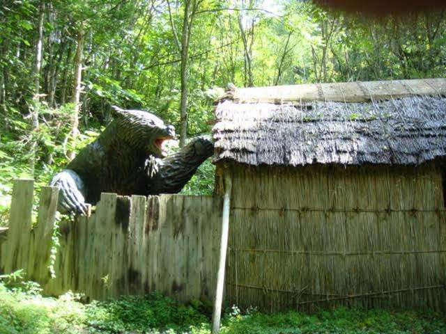 ヒグマがまた飼い犬襲撃か 昨年の個体とDNA一致 北海道