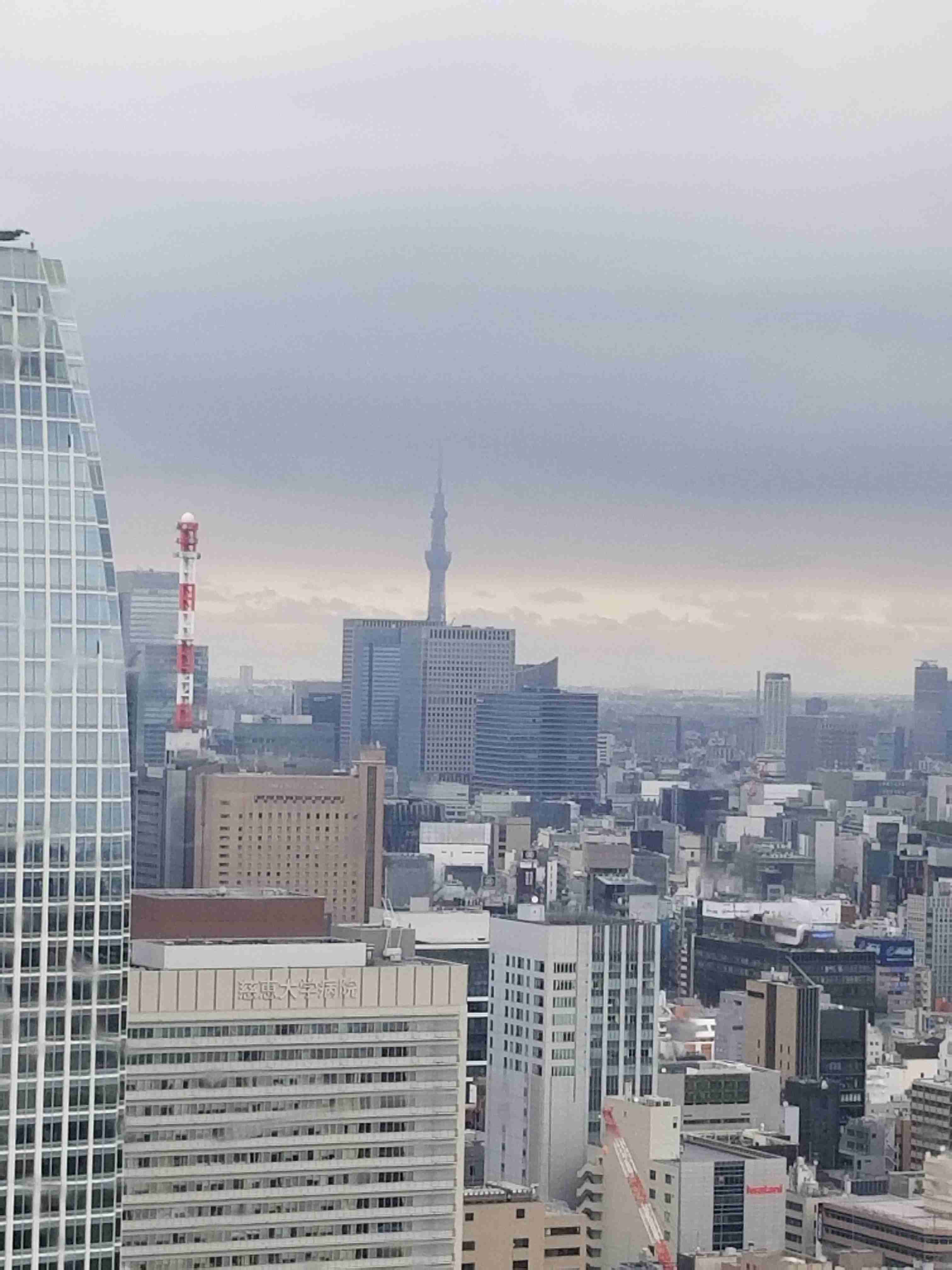 東京タワーかスカイツリーの画像を貼るトピ