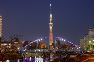 東京タワーかスカイツリーの画像を貼るトピ