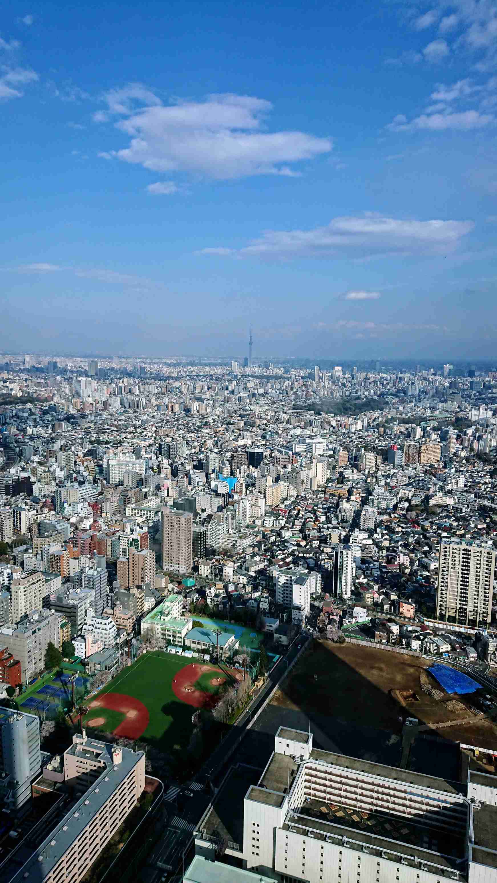 東京タワーかスカイツリーの画像を貼るトピ