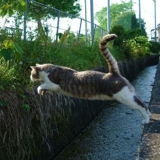 【梅雨に負けるな】ある意味、爽やかな画像のトピ!