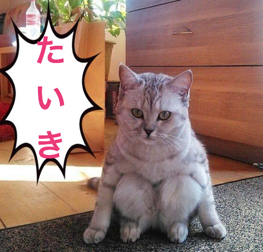 最後に「〜のであった」をつけて会話するトピックス