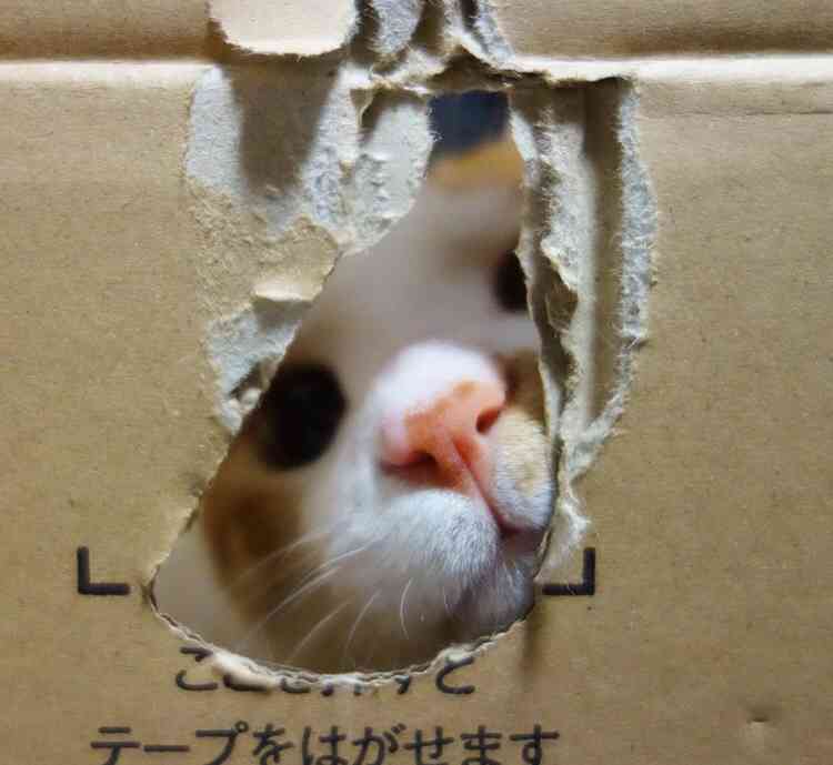 最後に「〜のであった」をつけて会話するトピックス