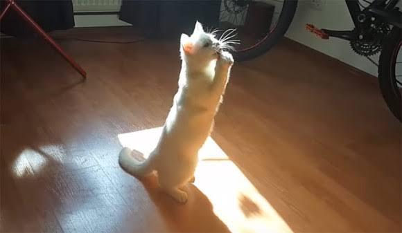 最後に「〜のであった」をつけて会話するトピックス