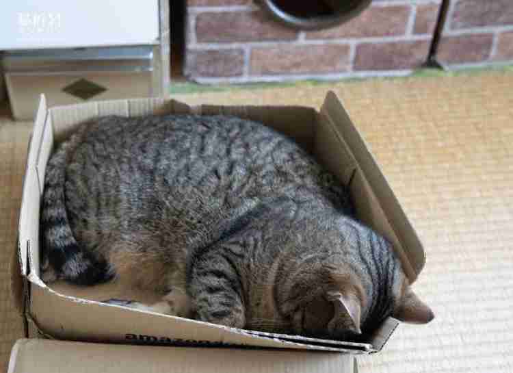 最後に「〜のであった」をつけて会話するトピックス
