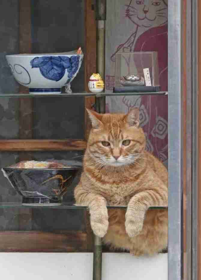 最後に「〜のであった」をつけて会話するトピックス