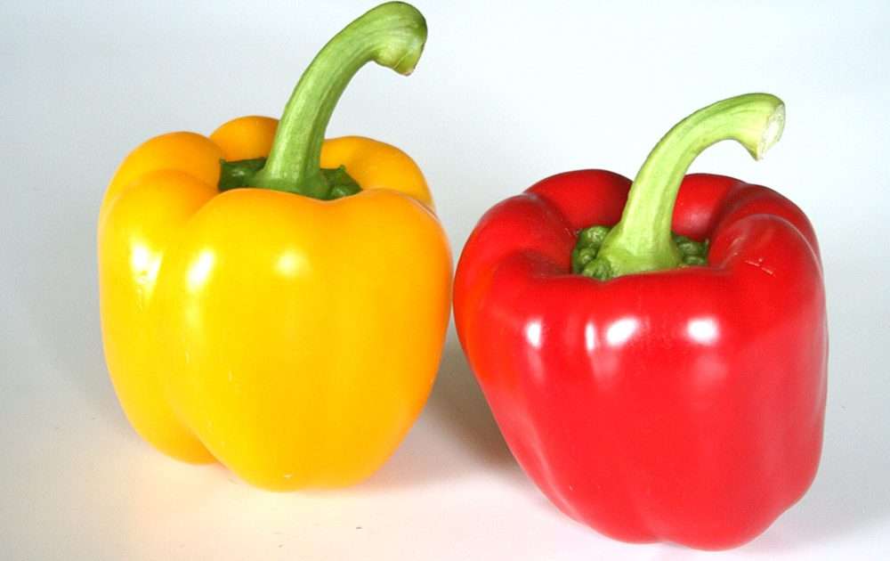 2020応援ソング 「パプリカ」を語りたい！