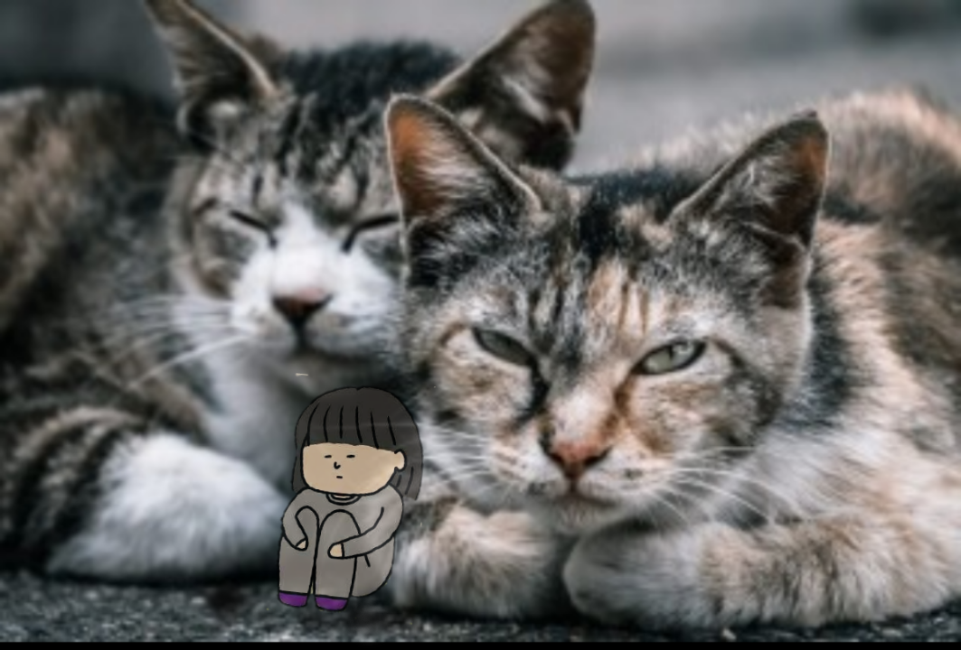 この子が笑顔になる方法【お絵かき】