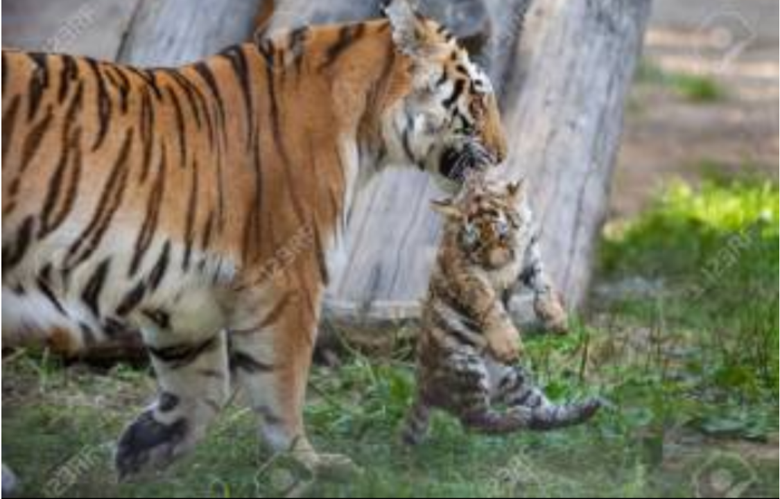 この子が笑顔になる方法【お絵かき】